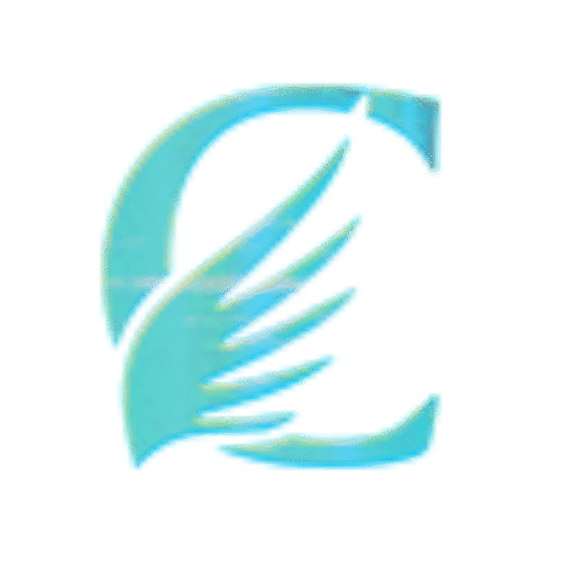 icon BARAWIN